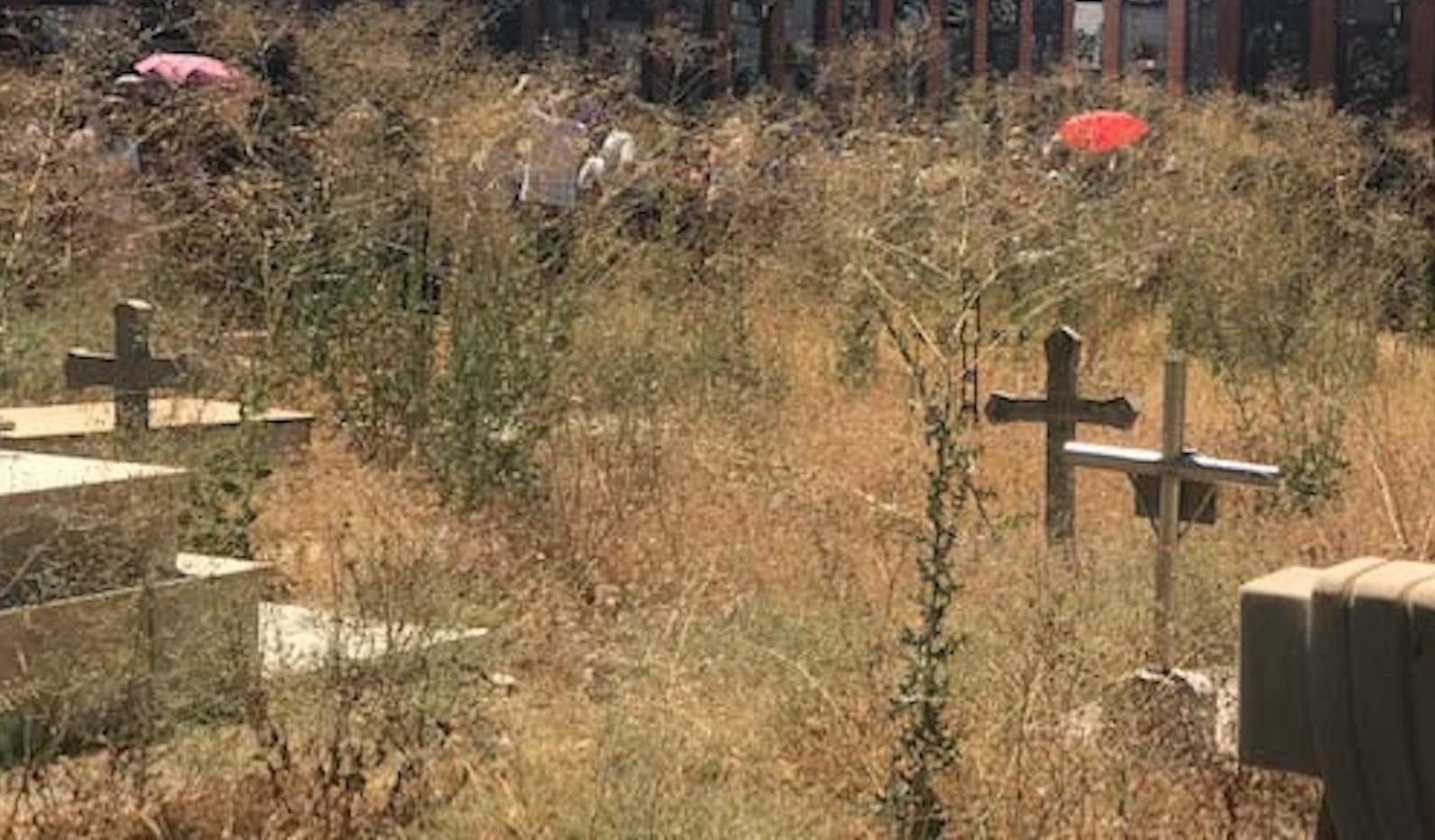 Múltiples quejas por el estado de abandono del cementerio parroquial de Bailén