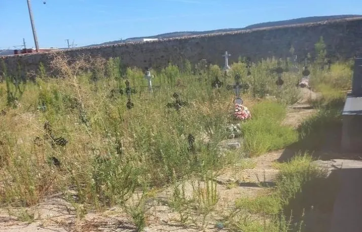 Denuncian una zona de hierbajos en el cementerio de Ciudad Rodrigo que impide el acceso a las tumbas