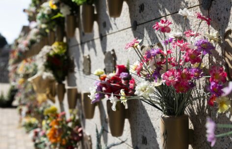 El Parque Cementerio de La Paz de Alcobendas pondrá un servicio de microbuses gratuitos el 1 de noviembre