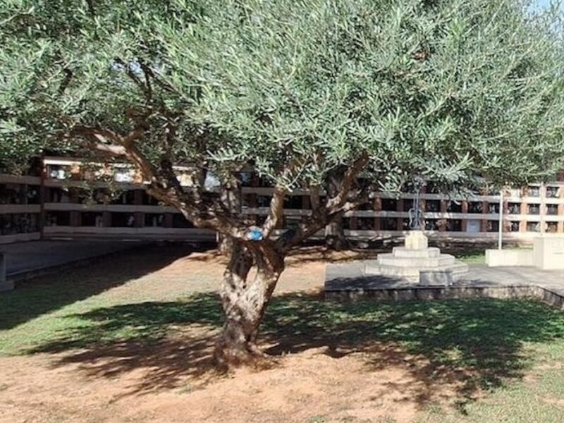 El cementerio municipal de Villarreal inaugura un espacio de recuerdo a los bebés no nacidos